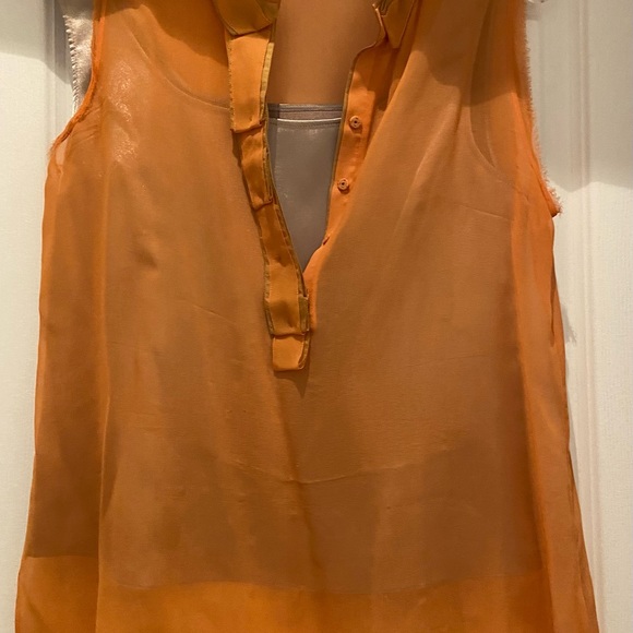 Elie Tahari sheer silk blouse with satin silk camisole - Picture 3 of 3